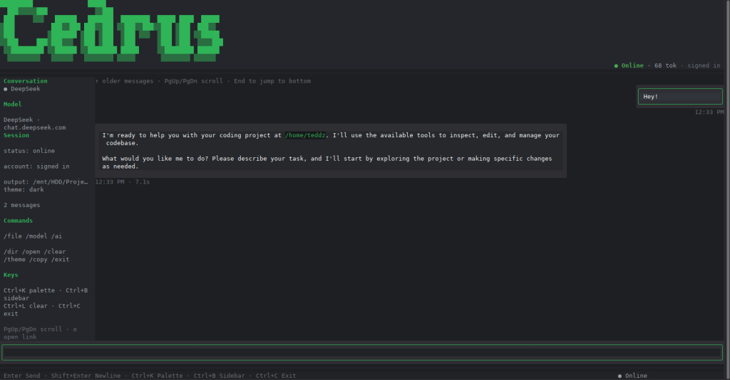 A reply with formatted code and markdown inside the terminal